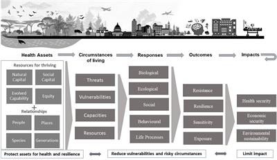 The continuum of care as a unifying framework for intergenerational and interspecies health equity